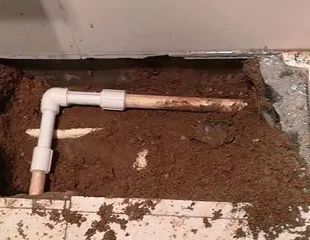 建德测漏水哪家好