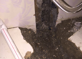 建德卫生间测漏水哪家好